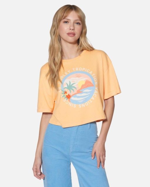 Zoomera.shop5315c5027d 1