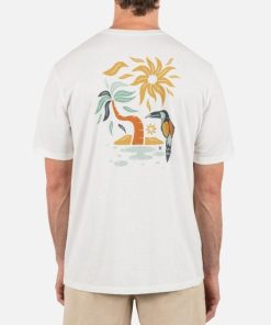 Zoomera.shop66560ecc0e 3